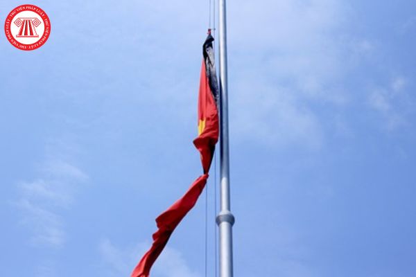 Pháp luật