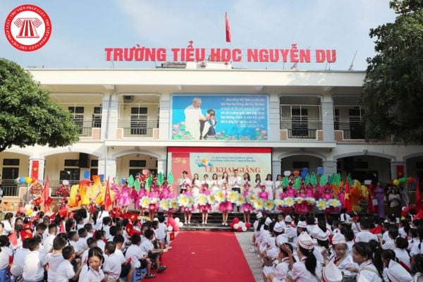 Pháp luật