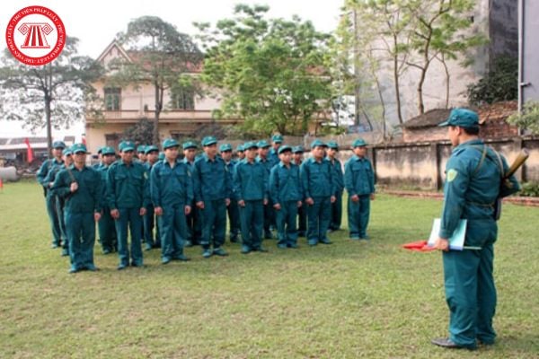 Pháp luật
