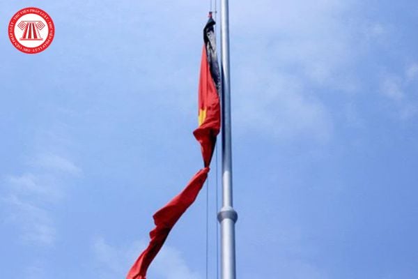 Pháp luật