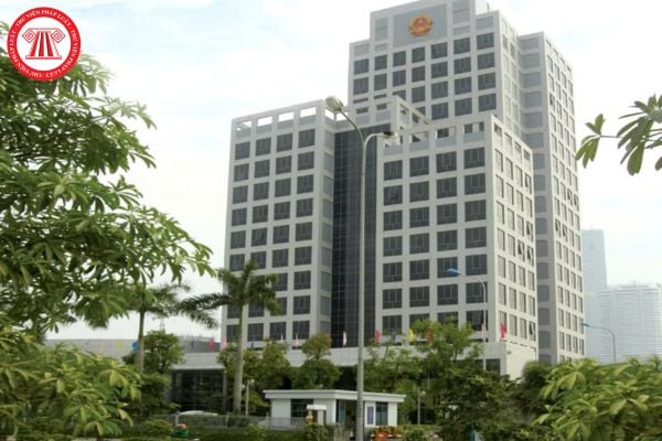 Pháp luật