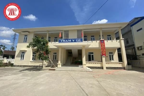 Pháp luật