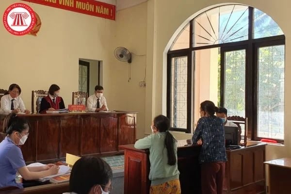 Pháp luật