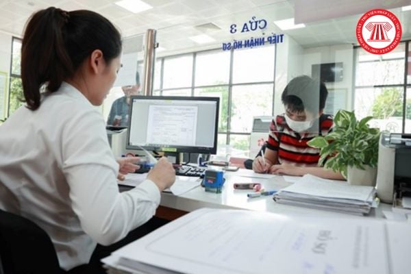 Pháp luật