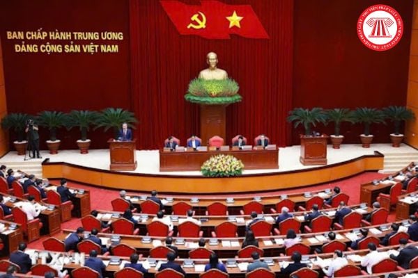 Pháp luật