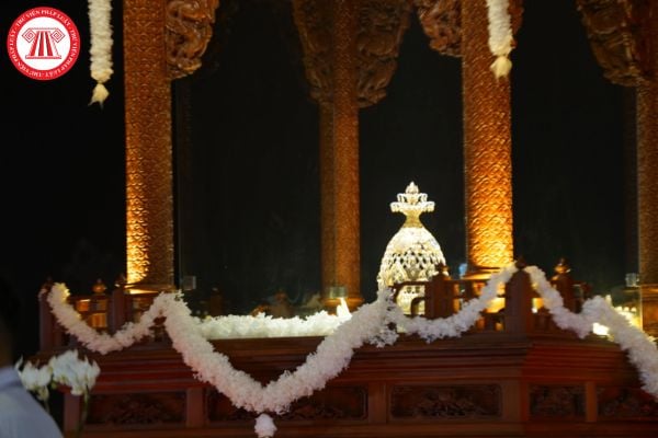 Pháp luật