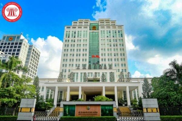 Pháp luật