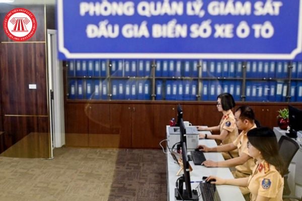 Pháp luật
