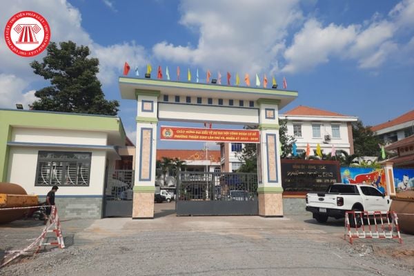 Pháp luật