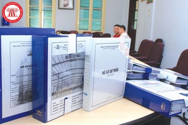 Pháp luật
