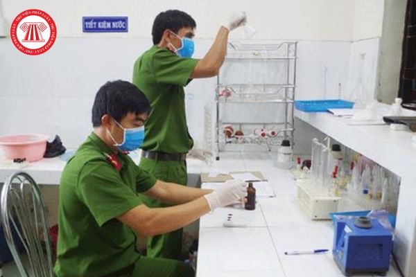 Pháp luật