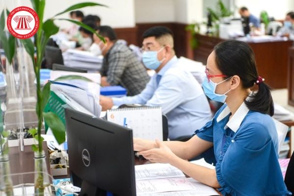 Pháp luật