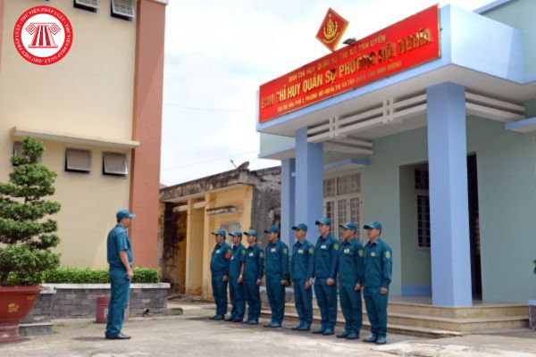 Pháp luật