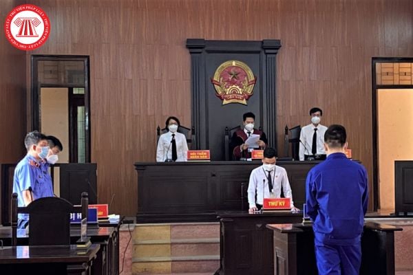 Pháp luật