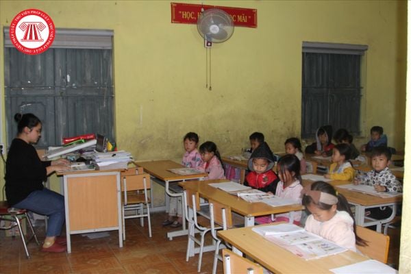 Pháp luật
