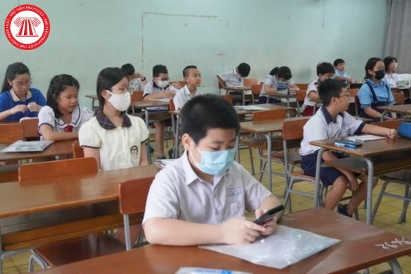 Pháp luật