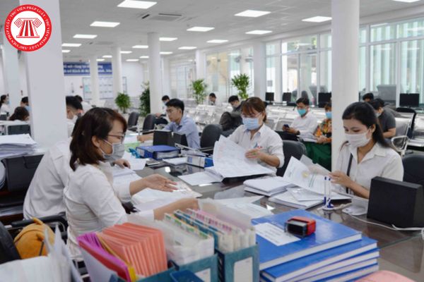 Pháp luật