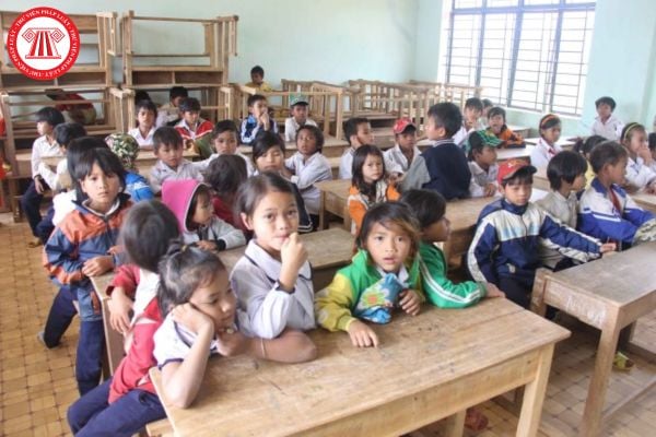 Pháp luật