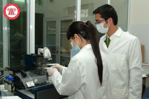 Pháp luật