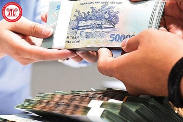 Pháp luật