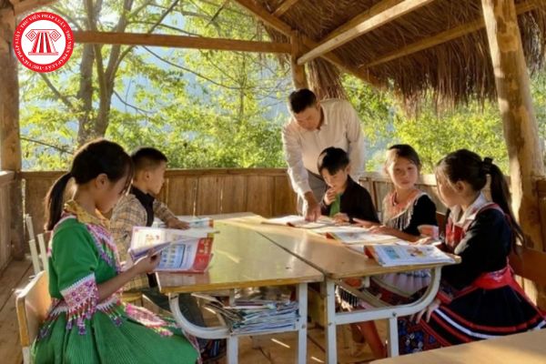Pháp luật