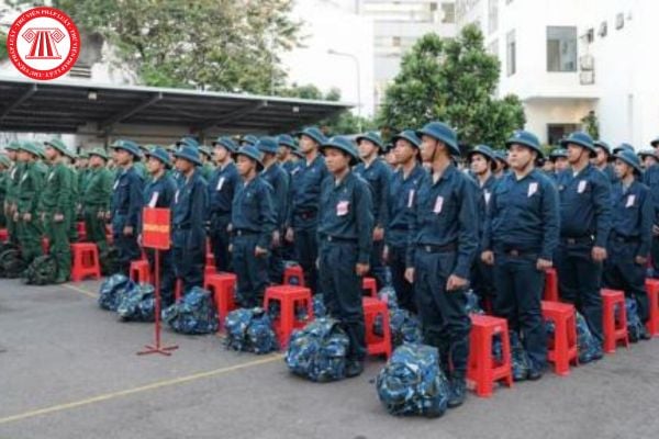 Pháp luật