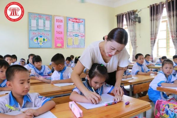 Pháp luật