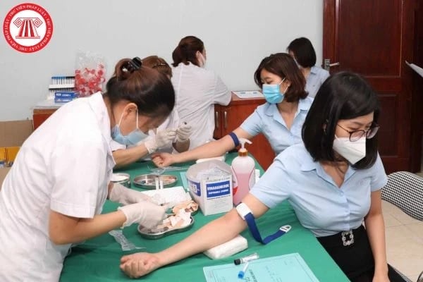 Pháp luật