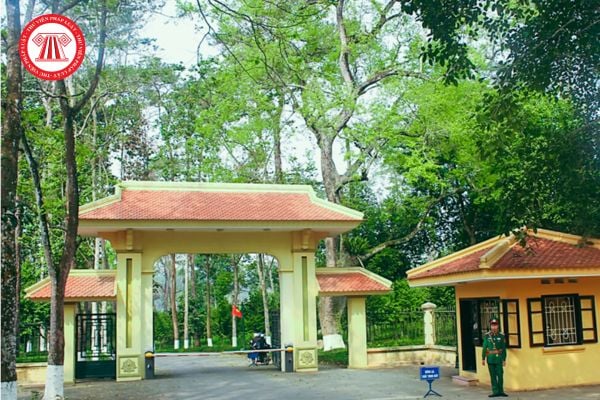 Pháp luật