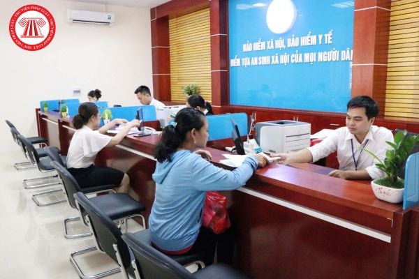 Pháp luật