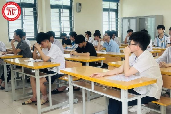 Pháp luật