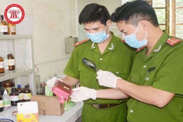 Pháp luật