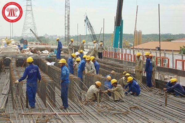 Pháp luật