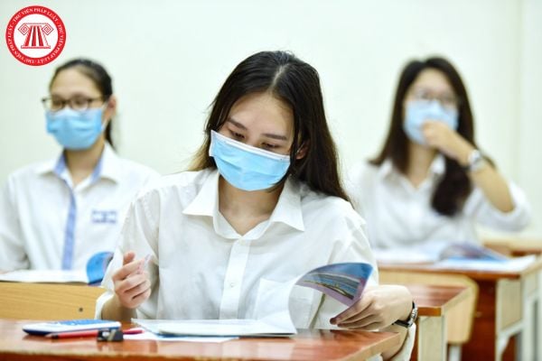 Pháp luật