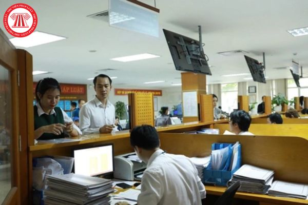 Pháp luật