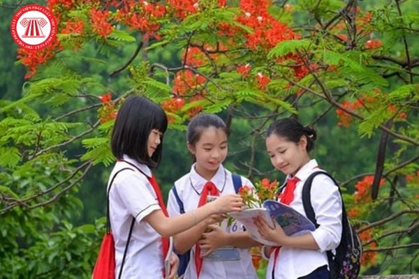 Pháp luật