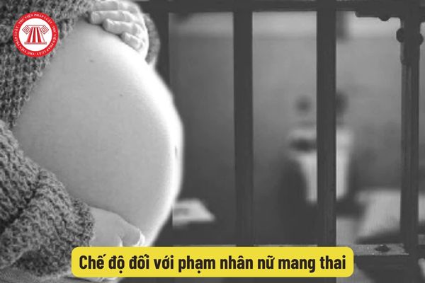 Chế độ đối với phạm nhân nữ mang thai