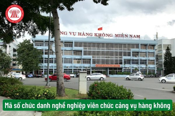 Mã số chức danh nghề nghiệp viên chức cảng vụ hàng không