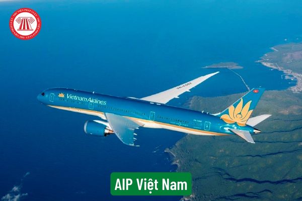 AIP Việt Nam
