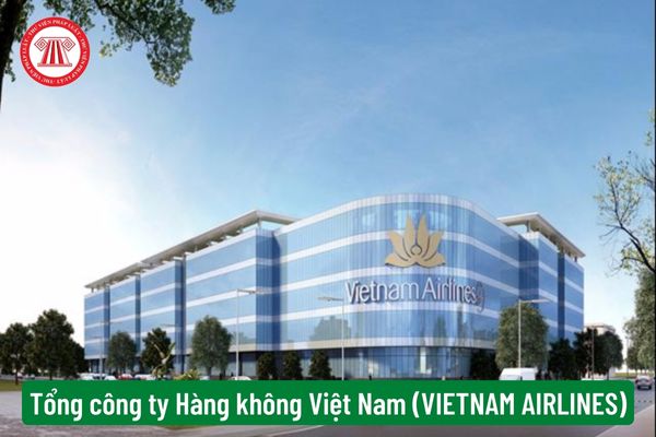 Tổng công ty Hàng không Việt Nam (VIETNAM AIRLINES)