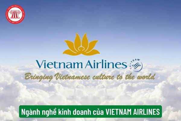 Ngành nghề kinh doanh của VIETNAM AIRLINES