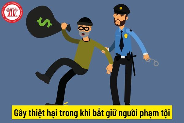 Gây thiệt hại trong khi bắt giữ người phạm tội