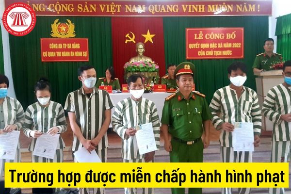 Trường hợp được miễn chấp hành hình phạt