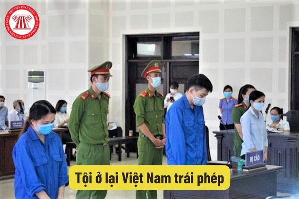 Tội ở lại Việt Nam trái phép