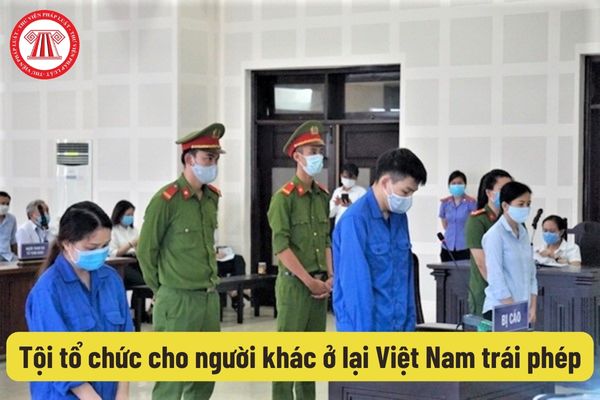Tội tổ chức cho người khác ở lại Việt Nam trái phép