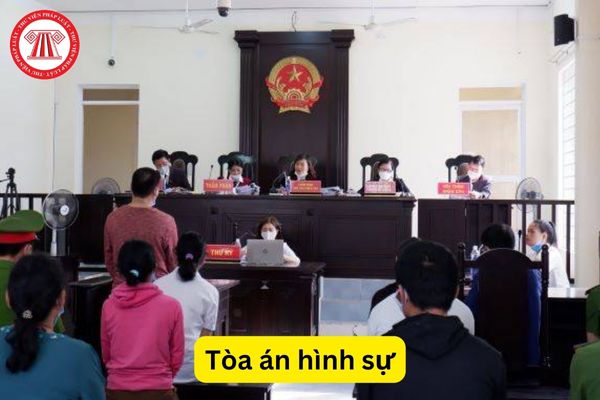 Tòa án hình sự