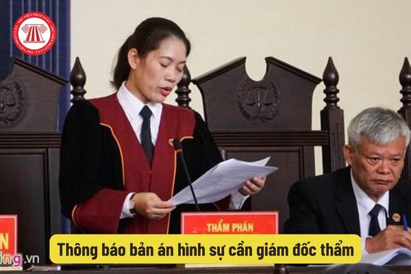 Thông báo bản án hình sự cần giám đốc thẩm