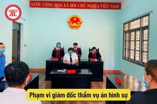 Phạm vi giám đốc thẩm vụ án hình sự