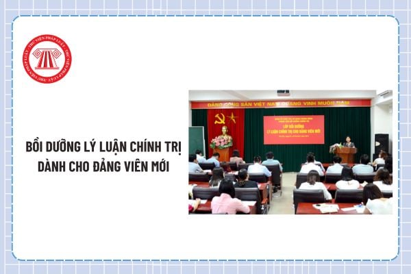 Pháp luật