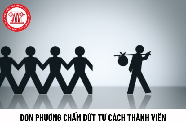 Thành viên sáng lập tổ chức tương hỗ cung cấp bảo hiểm vi mô được đơn phương chấm dứt tư cách thành viên khi nào?